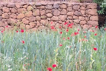 Villa Rural Faldas Del Teide Icod De Los Vinos
