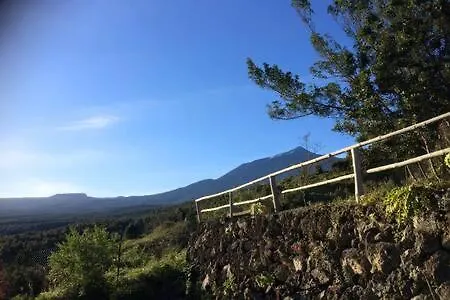 Villa Rural Faldas Del Teide Icod De Los Vinos